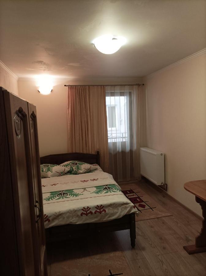 Vila Alpina Olanesti Apartment Băile Olăneşti Екстериор снимка